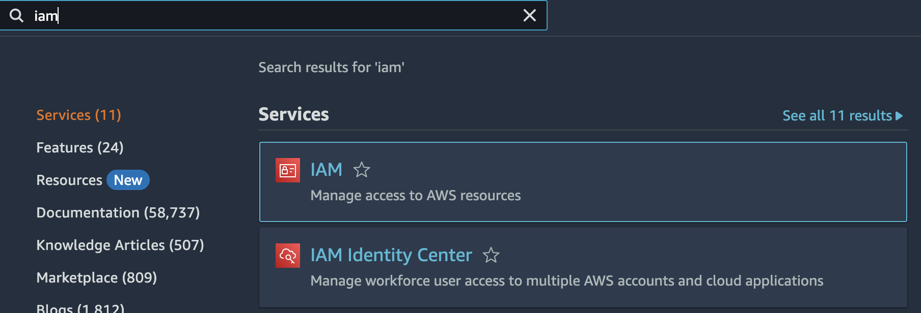 AWS search for "iam"